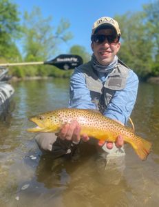 A fisherman holding a sea trout in Arlington