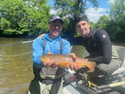 A sea trout caught in VT
