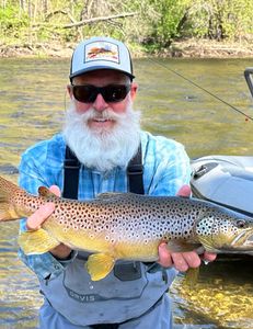 A sea trout caught while fishing in VT