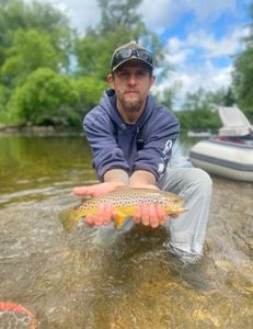 One sea trout caught on fishing trip in VT