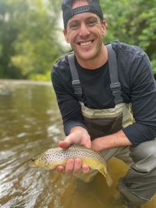 Photograph of a sea trout caught in VT
