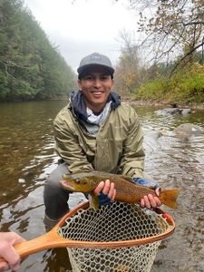 Angler with a fishing rod in Arlington