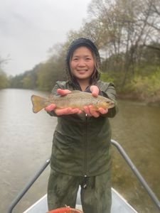 Impressive catch of a sea trout in VT