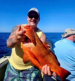 Coral Grouper beauty from NC waters!