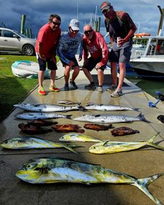 6 king mackerel and great barracuda fish caught in NC