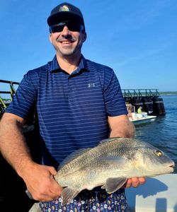 Angler catches a black drum fish in North Carolina