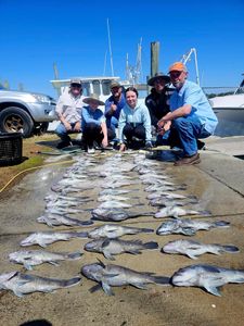 6 great fish caught in NC