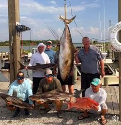Four large cobia fish caught in Sneads Ferry