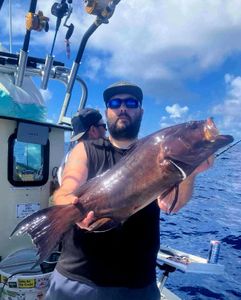 A dusky grouper fish caught while fishing in Sneads Ferry