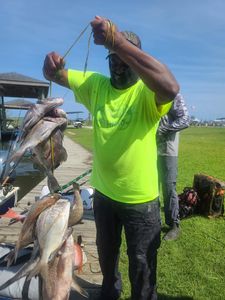 Two fishing rods on the shoreline of Sneads Ferry