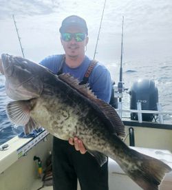 Gag grouper caught fishing in NC