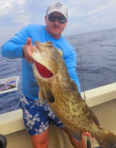 Photograph of a Gag Grouper, a 24-inch fish caught while fishing in North Carolina.