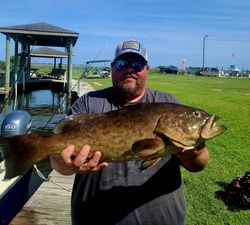 Gag grouper fish caught in Sneads Ferry