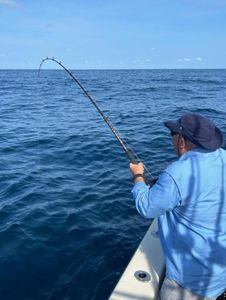 Scenic fishing trip in NC