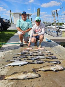 Great catch of 3 large fish in Sneads Ferry