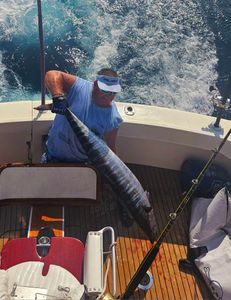 Wahoo Fish caught while fishing in NC