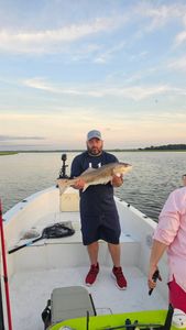 Amazing Redfish catch in Folly Beach!