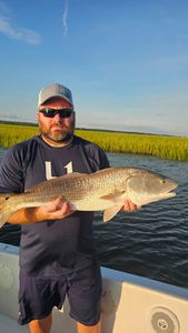 Awesome Redfish! Come to Folly beach!