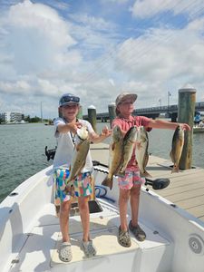 4 fish caught while fishing in SC
