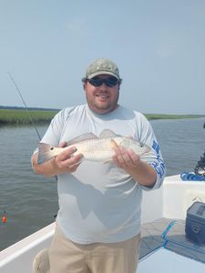 A fisherman holds up a 15-inch redfish at Folly Beach