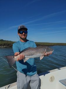 Redfish caught at Folly Beach