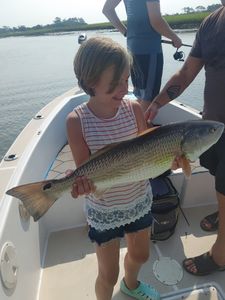 Redfish, 25 inches, fishing in SC