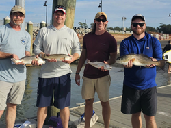Four Redfish caught in SC