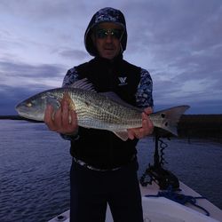 Redfish caught while fishing in SC
