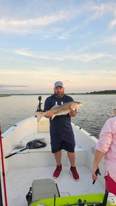 Redfish, 23 inches, caught fishing in SC