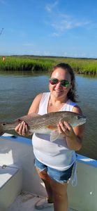 Redfish caught at Folly Beach