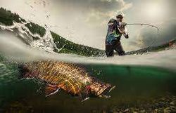 Fishing in Orlando