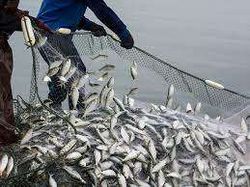 Scenic landscape with palm trees in Orlando, Florida