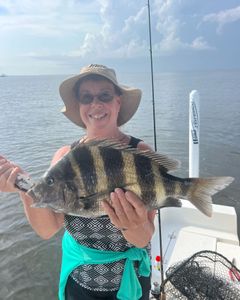 Sheepshead fish caught during fishing trip in Spanish Fort