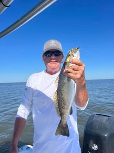 Spotted Weakfish, 20-inch fish caught while fishing in AL