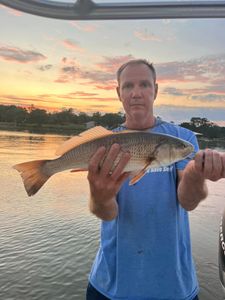 Photograph of a 23-inch redfish caught by a person in AL