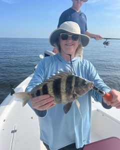 Sheepshead fish caught during fishing trip in Spanish Fort