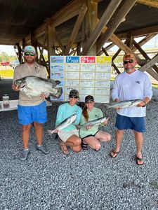 Fishing tournament results showing tripletail and speckled trout catches in Spanish Fort AL
