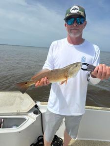 Redfish caught while fishing in Spanish Fort Alabama