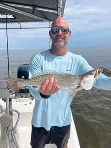 Spotted Weakfish, 22 inches, in AL