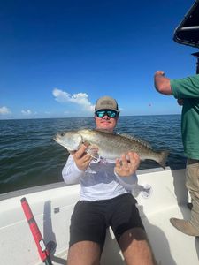 Spotted Weakfish caught in Alabama