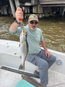 Spotted Weakfish, 20 inches, caught while fishing in AL