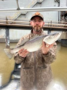 Spotted Weakfish, fishing in AL