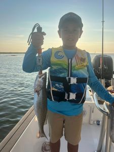 Spotted Weakfish caught in Spanish Fort