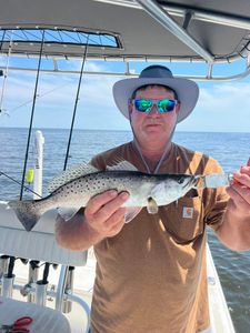 Photograph of a 18-inch Spotted Weakfish caught while fishing in Spanish Fort
