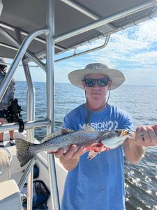 Spotted Weakfish, a 21-inch fish, caught while fishing in Spanish Fort