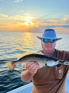 Spotted Weakfish caught during fishing in Spanish Fort