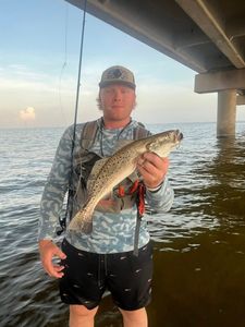 Spotted weakfish caught while fishing in Spanish Fort
