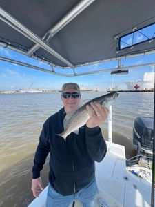 Spotted Weakfish caught in Spanish Fort, Florida