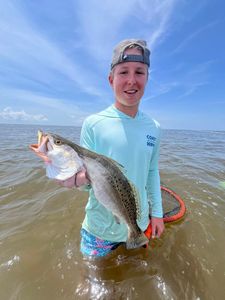 Spotted weakfish caught while fishing in Spanish Fort