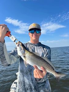 Spotted weakfish, 21-inch fish, caught while fishing in Spanish Fort